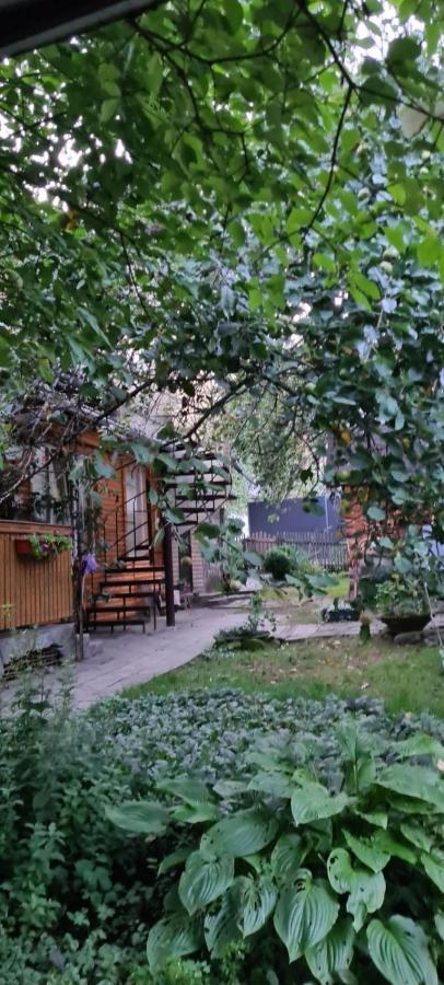 Guesthouse U Dida Viktora Jaremcze Zewnętrze zdjęcie