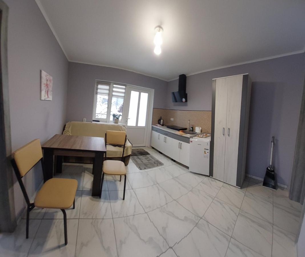Guesthouse U Dida Viktora Jaremcze Zewnętrze zdjęcie